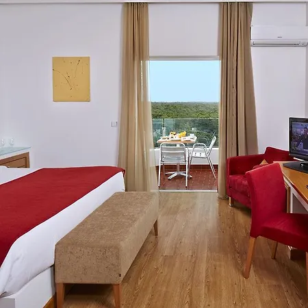 Alcazar Hotel&spa 4*