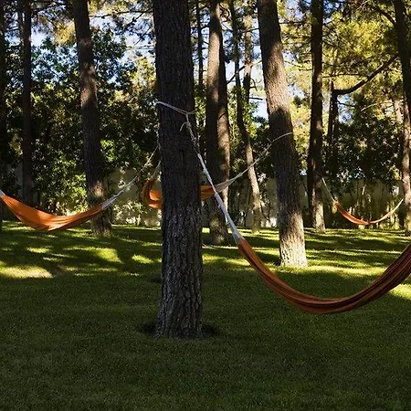 Alcazar Hotel&spa Monte Gordo